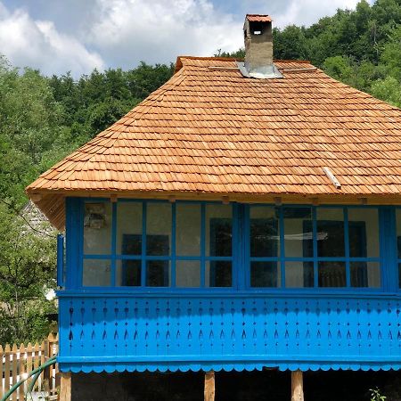 Vila Casa Albastra Băile Olăneşti Exteriér fotografie