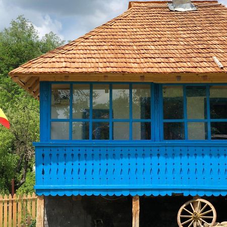 Vila Casa Albastra Băile Olăneşti Exteriér fotografie