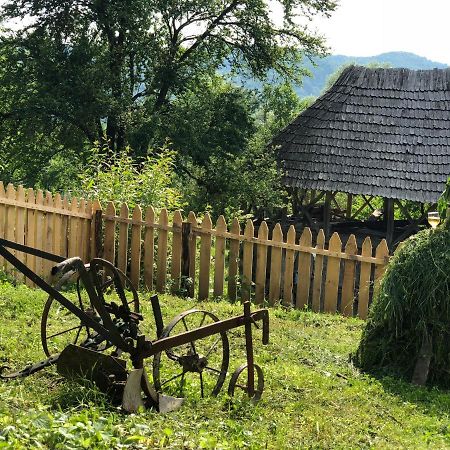 Vila Casa Albastra Băile Olăneşti Exteriér fotografie