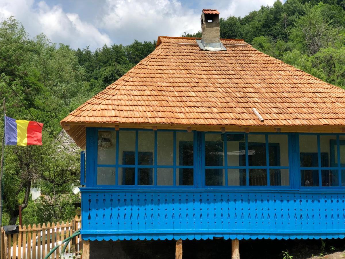 Vila Casa Albastra Băile Olăneşti Exteriér fotografie
