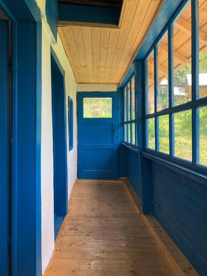 Vila Casa Albastra Băile Olăneşti Exteriér fotografie