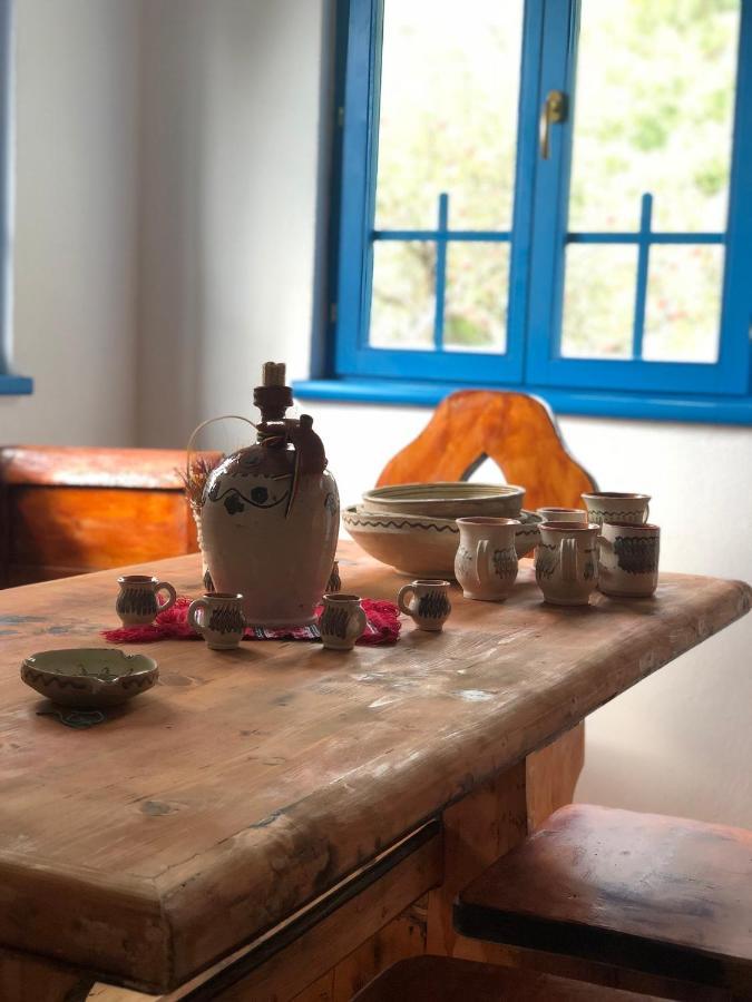 Vila Casa Albastra Băile Olăneşti Exteriér fotografie