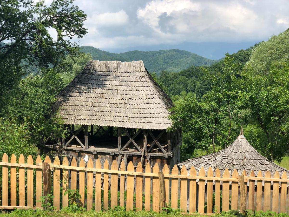 Vila Casa Albastra Băile Olăneşti Exteriér fotografie