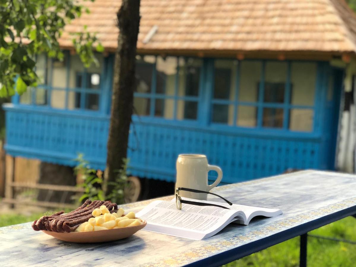 Vila Casa Albastra Băile Olăneşti Exteriér fotografie