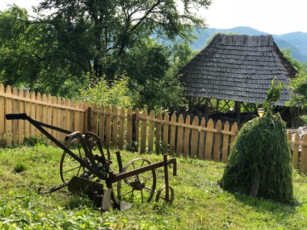 Vila Casa Albastra Băile Olăneşti Exteriér fotografie