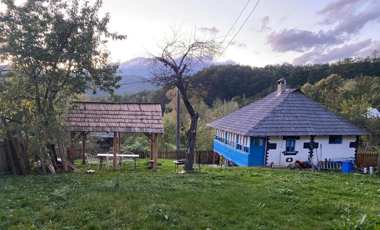 Vila Casa Albastra Băile Olăneşti Exteriér fotografie