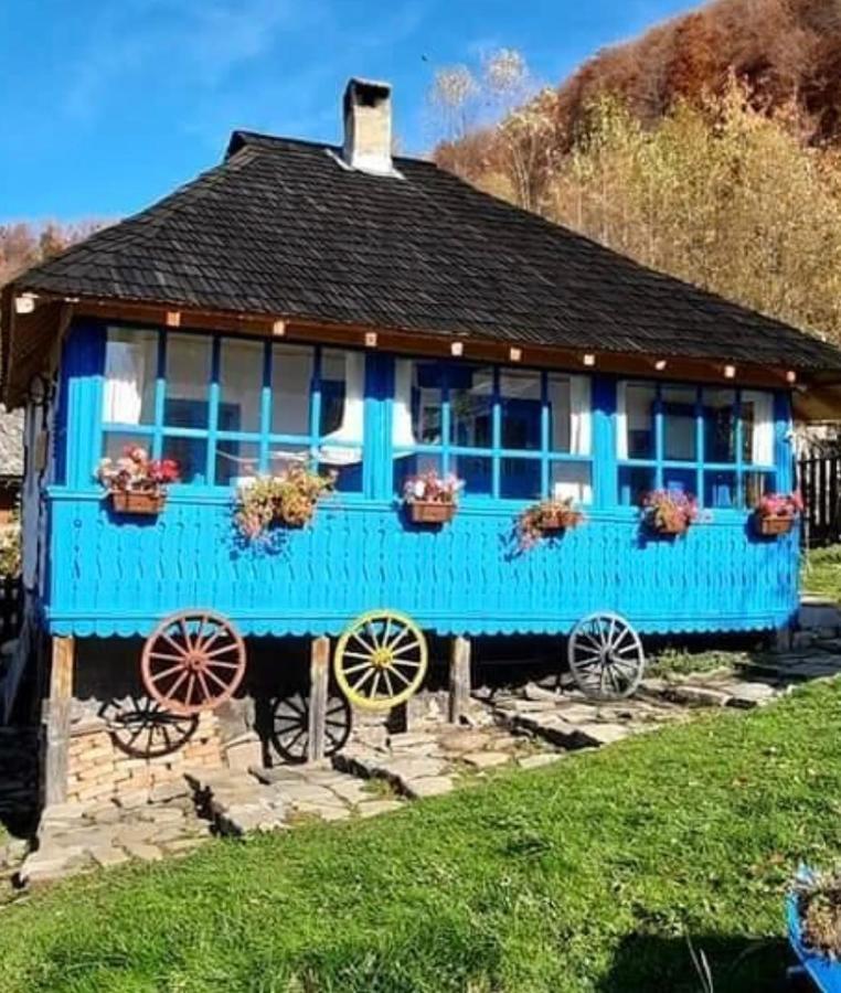 Vila Casa Albastra Băile Olăneşti Exteriér fotografie